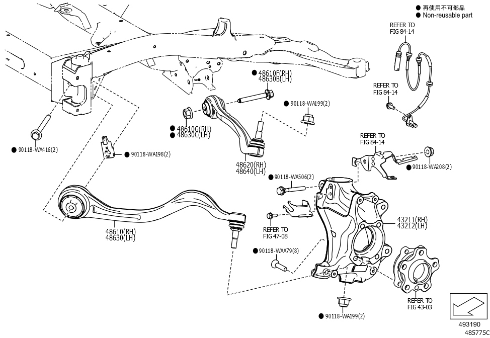 Arm Assembly, Suspension, Lower Right Hand